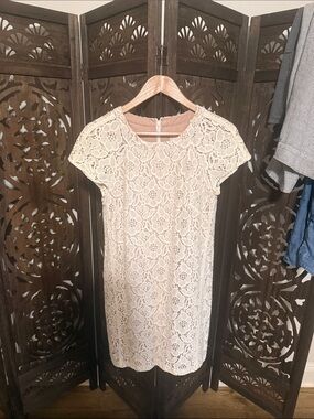 LOFT Cream Floral Lace Short-Sleeve Shift Dress